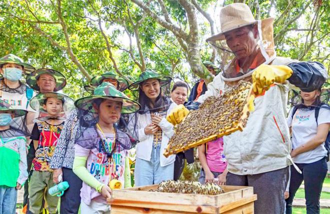 半岛官网：海口市秀英区新增3个省级乡村旅游点(图6)